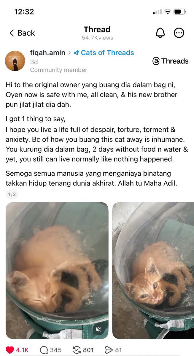 ianyumeow's tweet photo. famous ko dik kt thread. ramai aminkan doa adopter, harap owner lama dia nampak ramai doa buruk2 ke dia. hes much happier now ❤️ https://t.co/p3P8SXRitr