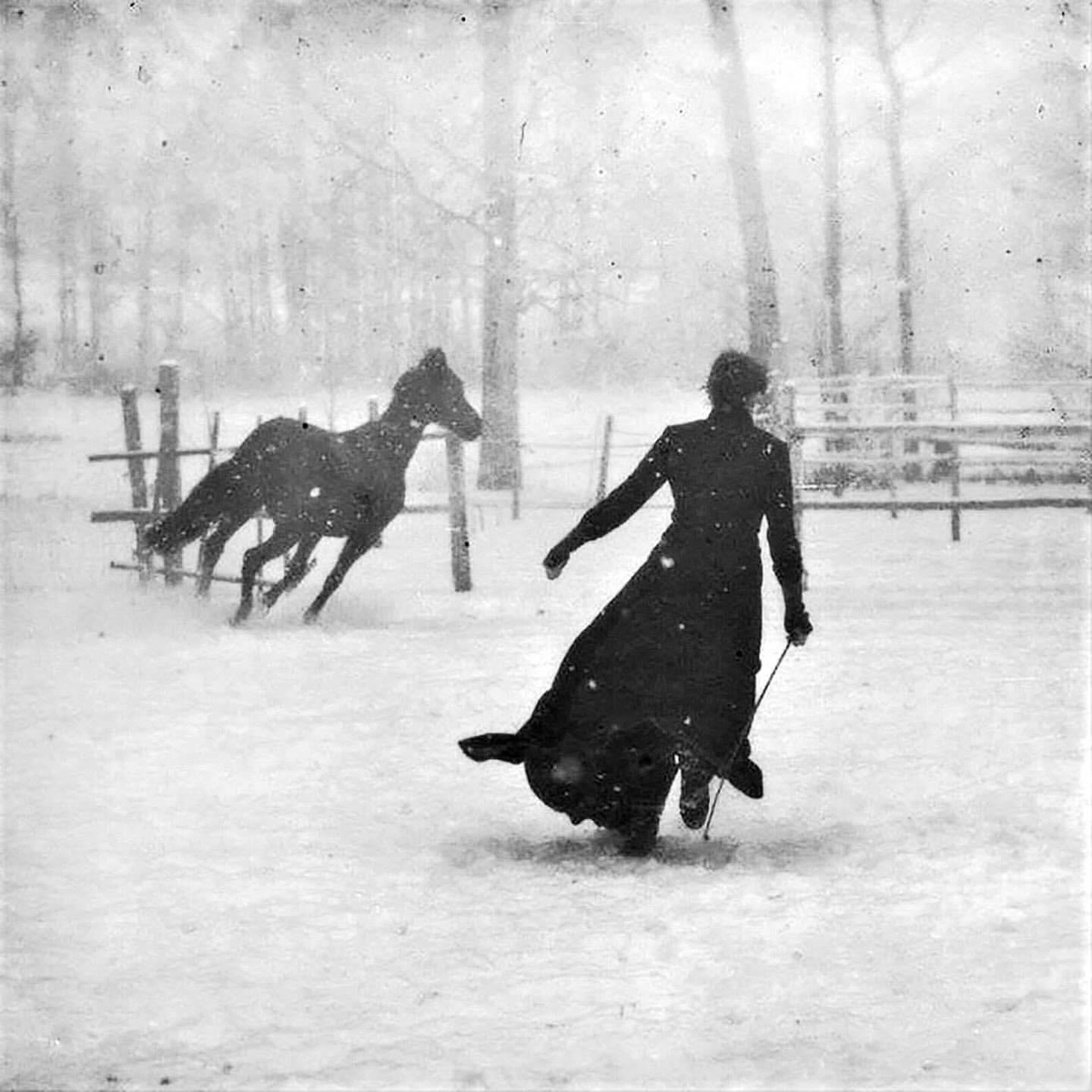 LfXAMDg4PE50i9e's tweet photo. 寒い。こんな日は雪の写真をご紹介。フェリックス・ティオリエの「Lady with her Horse on a Snowy Day 」（1899）です。

駆ける馬。そして鞭を手に黒い乗馬服で馬を追う貴婦人。その後ろ姿は凛々しく男前です。写真家ティオリエの最も有名な一枚です。 https://t.co/KsuzBMHR91