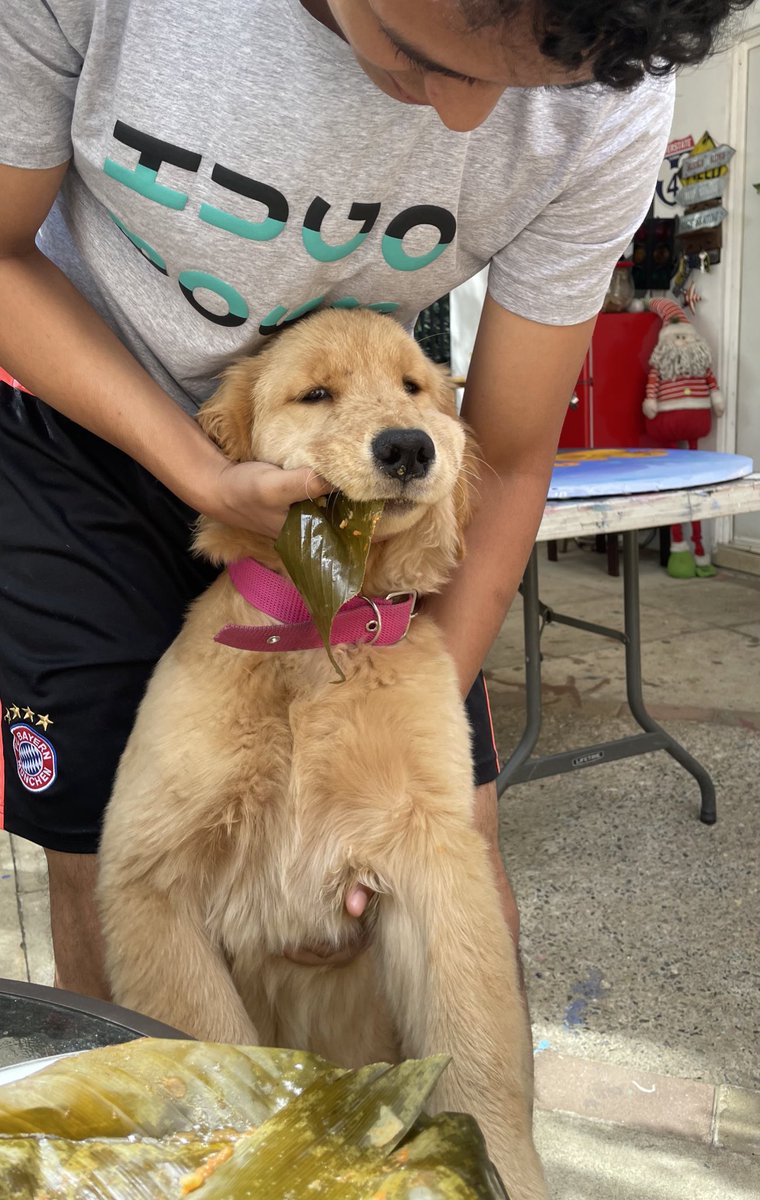 como empezó y como terminó