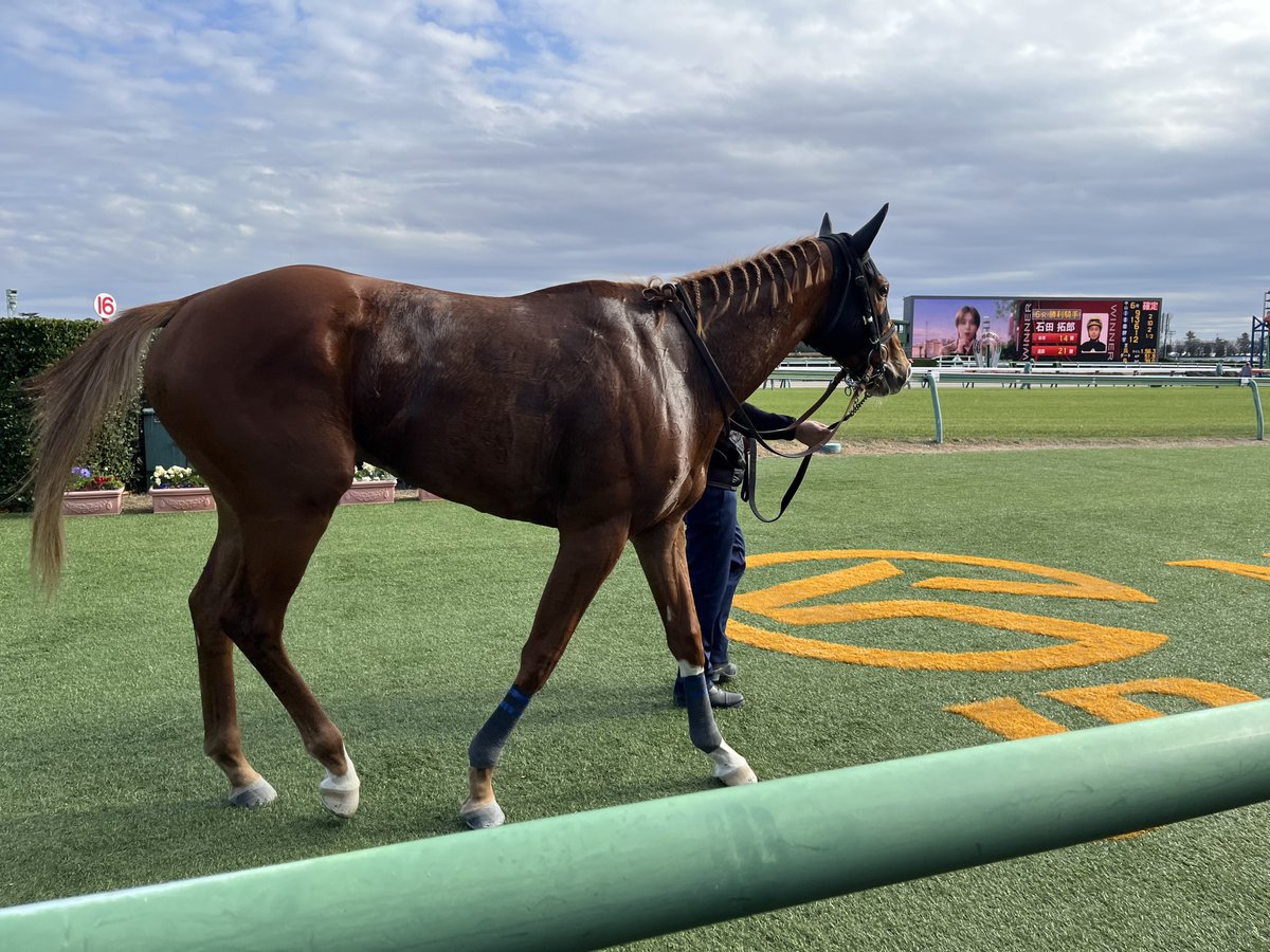 G8BdATdbYAA81HF.jpg?format=jpg