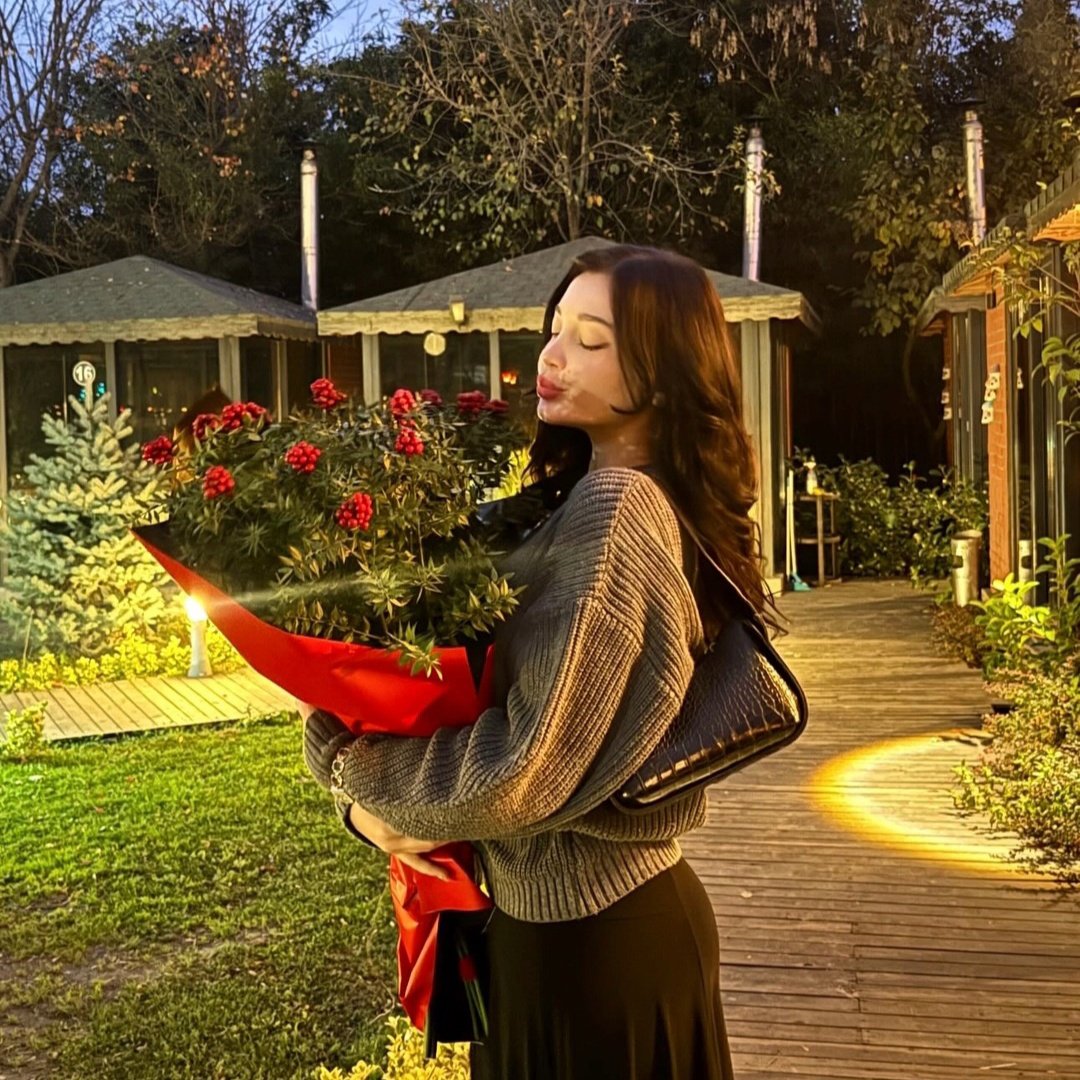 the scene and the scenery so puree