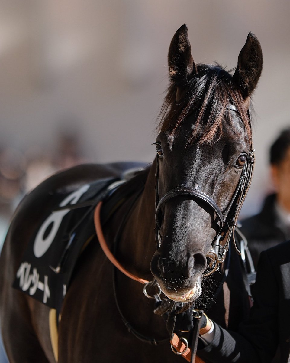 🏇西川🐕️ (@nishiyan2410) / Posts / X