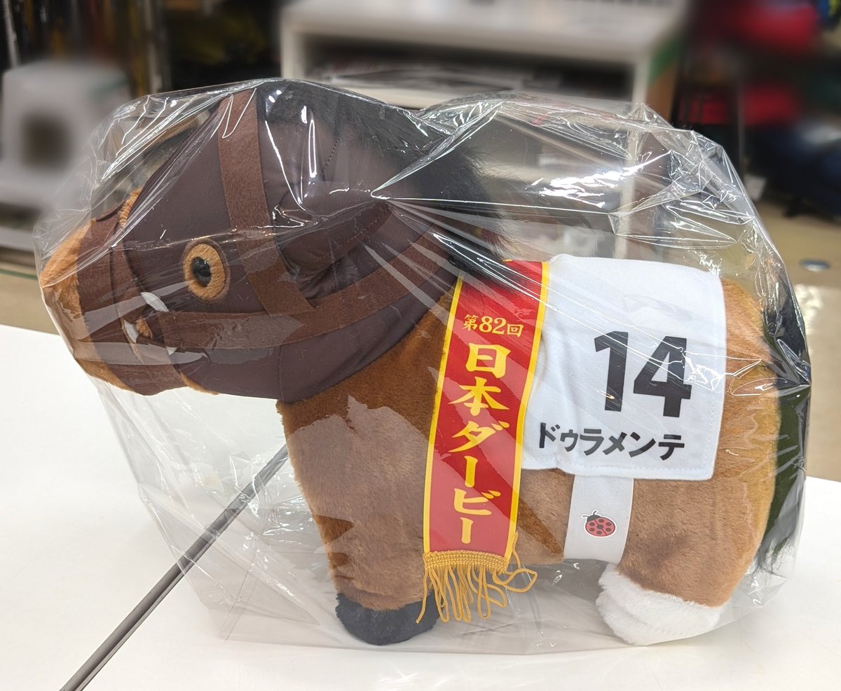 ✦ 厚木戸室 厩舎 入厩情報 ✦ 🌿日本ダービー 優勝🌿 🇯🇵 #ドゥ
