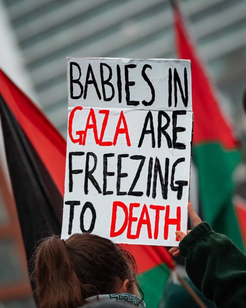 AdameMedia's tweet image. 👇🏼