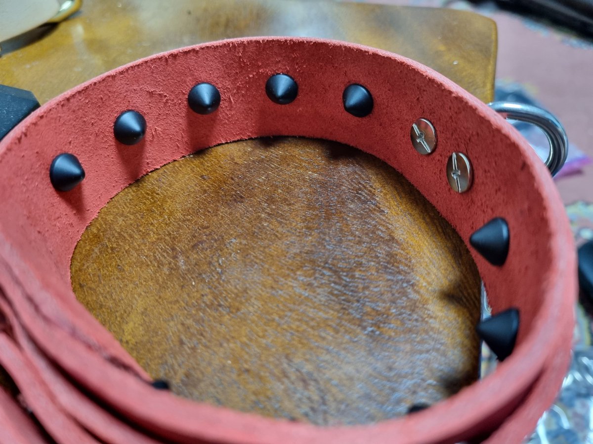 Collar with internal spikes. I've wanted to make this design for awhile