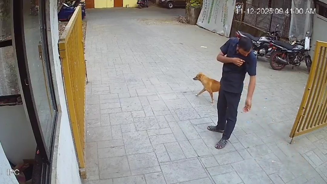 kapsology's tweet photo. A man was entering a society gate.

Suddenly, a dog jumped and bit him on the shoulder without any provocation.

The man, who appears to be a security guard, now has to take five doses of the rabies vaccine.

He has to endure pain. He has to take time off from work. He will carry lifelong trauma from street dogs.

Meanwhile, kutta premis will keep spamming the inbox of the Supreme Court.