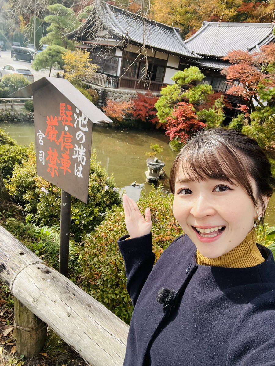 kmchanko's tweet photo. きのう放送された「宝くじドカーンと1500万円スペシャル～ 埼玉版～ 」の中の『開運カメ散歩』のコーナーでVTR出演しておりました🐢

ロケの写真を何回かに分けて投稿したいと思います！
まずは🐢と🐢のツーショットです🤍

#宝登山神社 #宝登山 #長瀞 #埼玉 https://t.co/H6cqoaNOIL