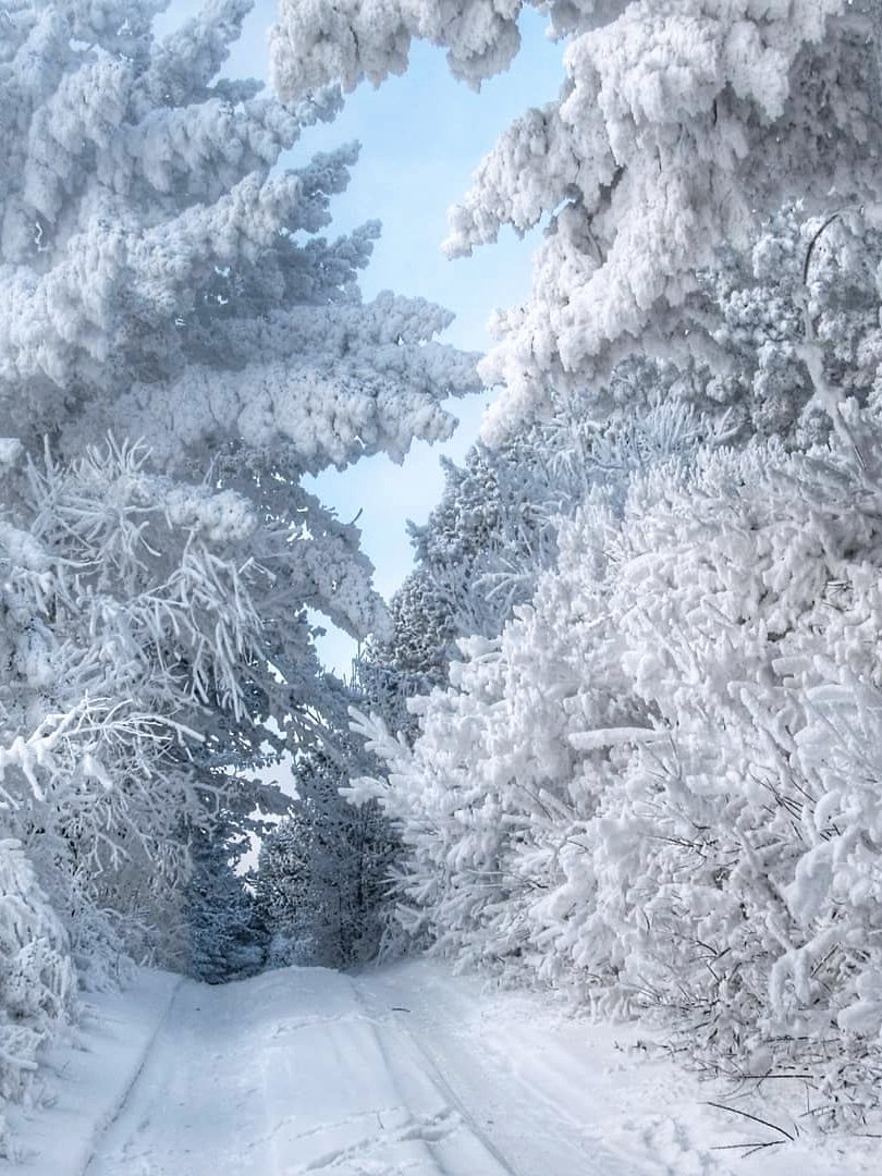 123 (@xetra_a) on Twitter photo 