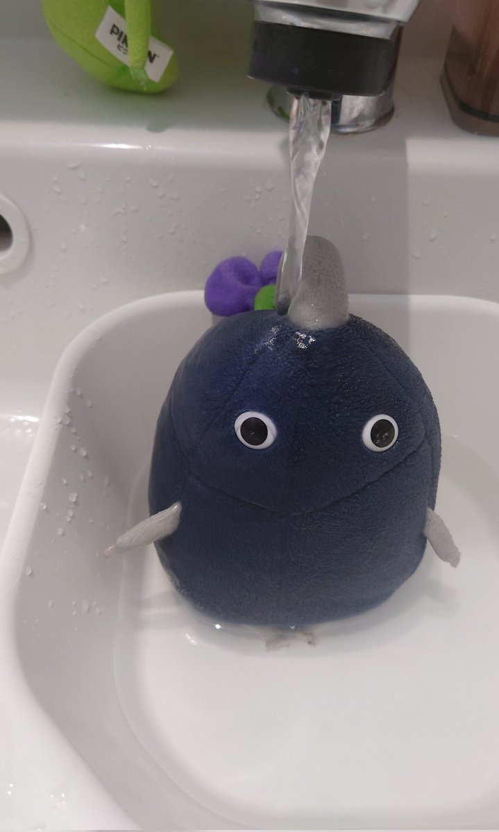 そふ🍞ソフラン🥕 tweet media