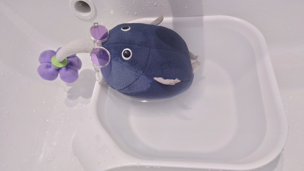 そふ🍞ソフラン🥕 tweet media