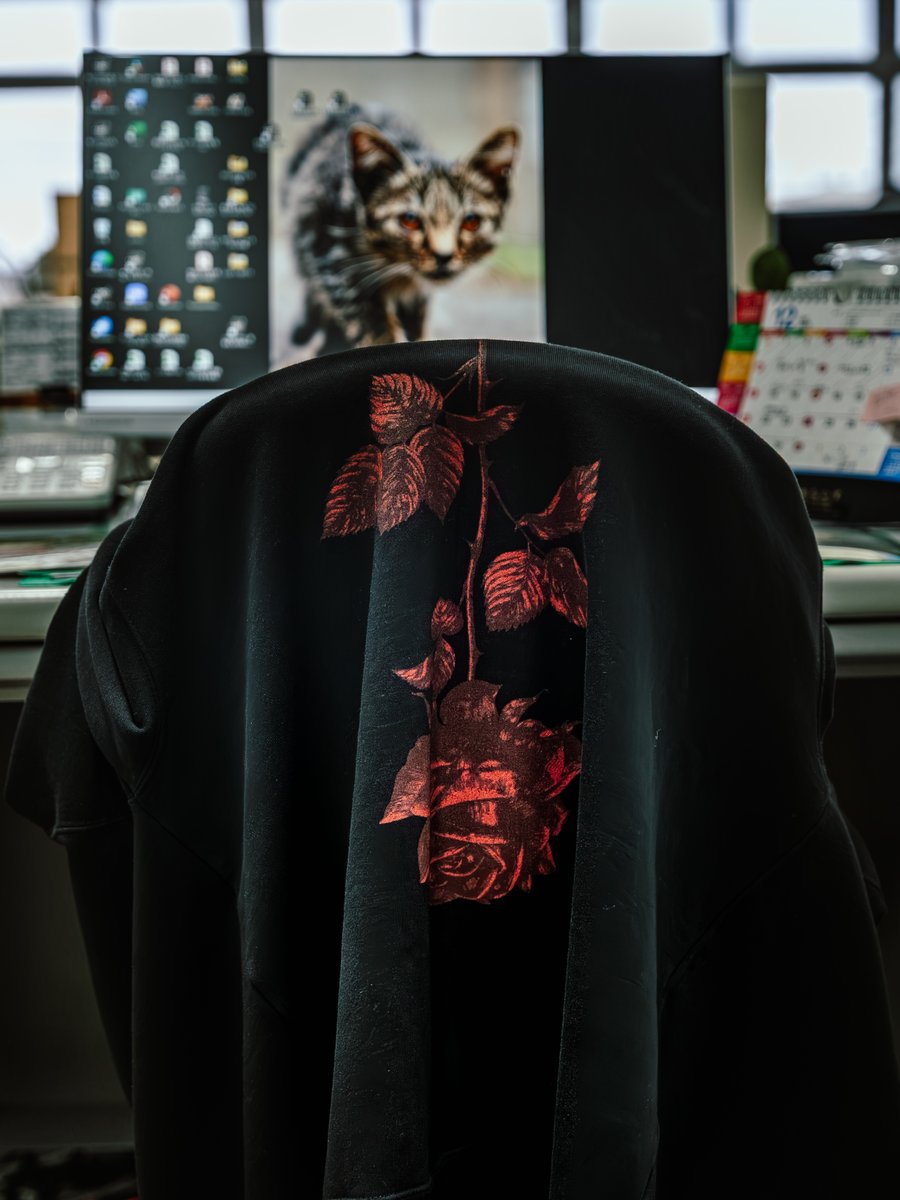 土曜日なのでゆるい話題で大阪に魂を飛ばしますが、今日のシホンの