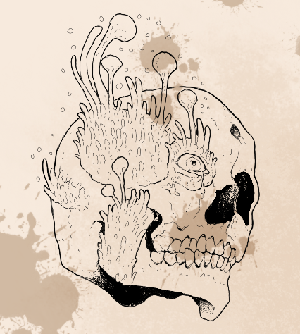 Whitney🇮🇪☘️ (@mountwhitney) on Twitter photo 