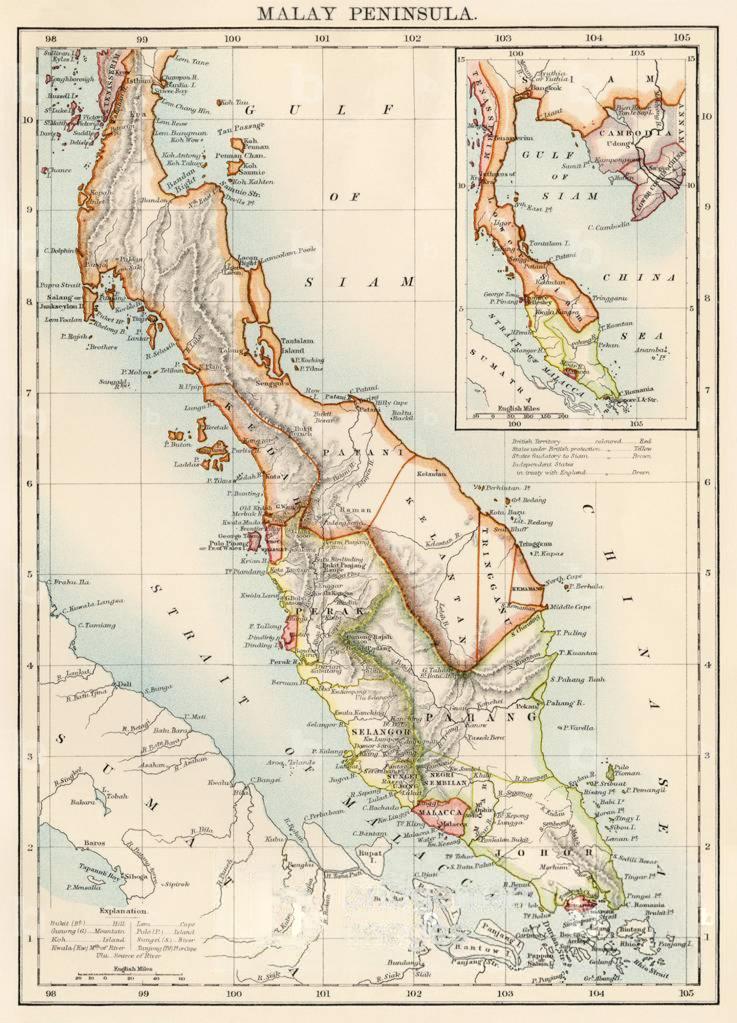 Muzayaki Orito 🇲🇾🌐🃏 tweet media