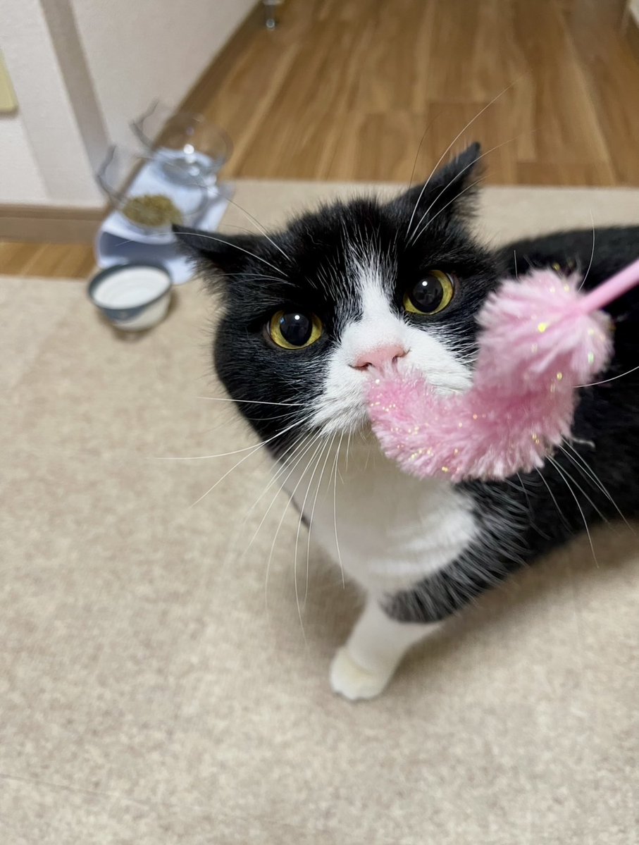 たろう② PB-5R0V105-R | Eaton 電気二重層コンデンサ, 5V dc, 1F, リード品 | RS