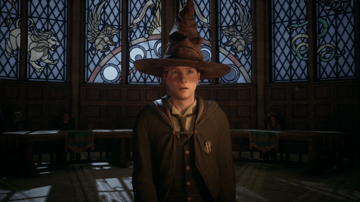 MathCardoso_S2's tweet photo. Eu gosto de harry potter? não... mas como tava de graça eu aproveitei  

 E é claro que deu a maioral né, sonserina 🐍 https://t.co/tQAAFvvy0A
