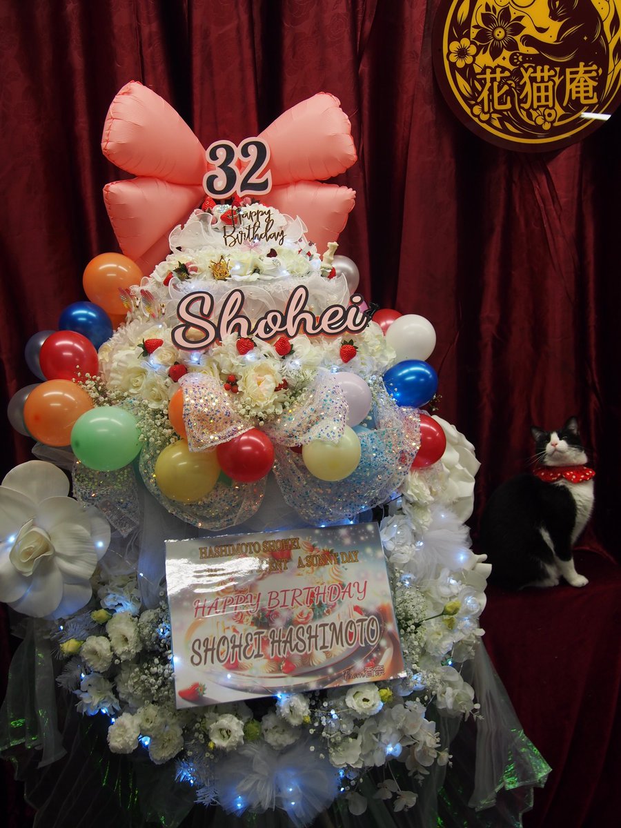 8787neko's tweet photo. HASHIMOTO SHOHEI BIRTHDAY EVENT
～A SUNNY DAY～
『橋本祥平さん宛ニャス♪はっぴーばーすでー🎂🐈️』
#フラスタ　#スタンド花　#花猫庵 https://t.co/ZgoP1DLdkV