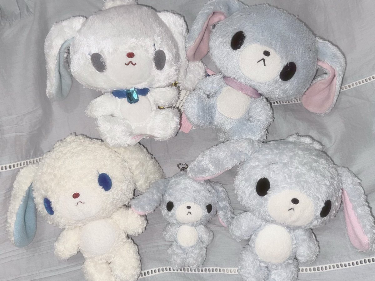 ᴿᴵᴷᴬ tweet media