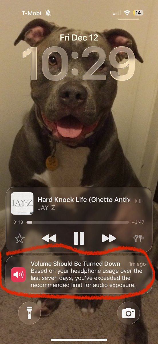 New IOS update needs an exemption for campaign managers with AirPods who spend 70%+ of their day on the phone