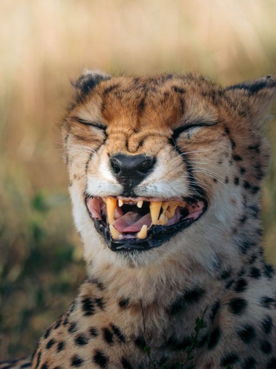 erastusboi's tweet image. Good morning and have a vibes full weekend