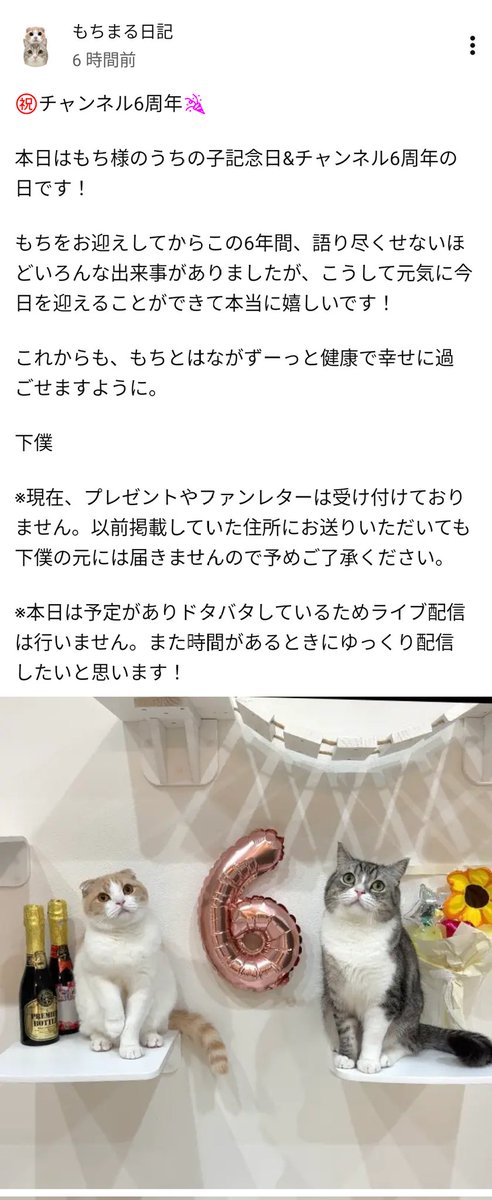 フォウ (@EMs5B5rXk3nxWbS) / Posts / X