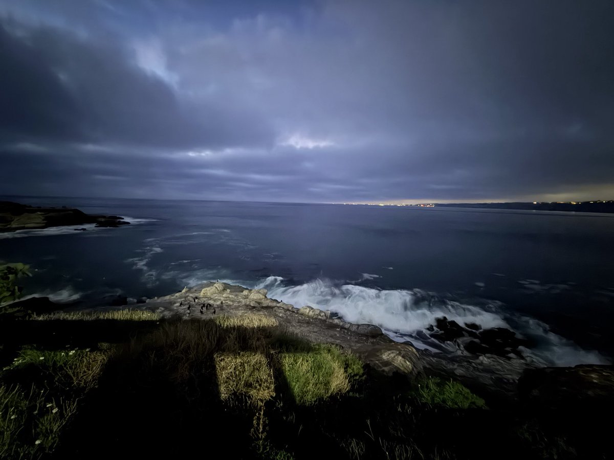 Mel Fogie, EdD tweet media