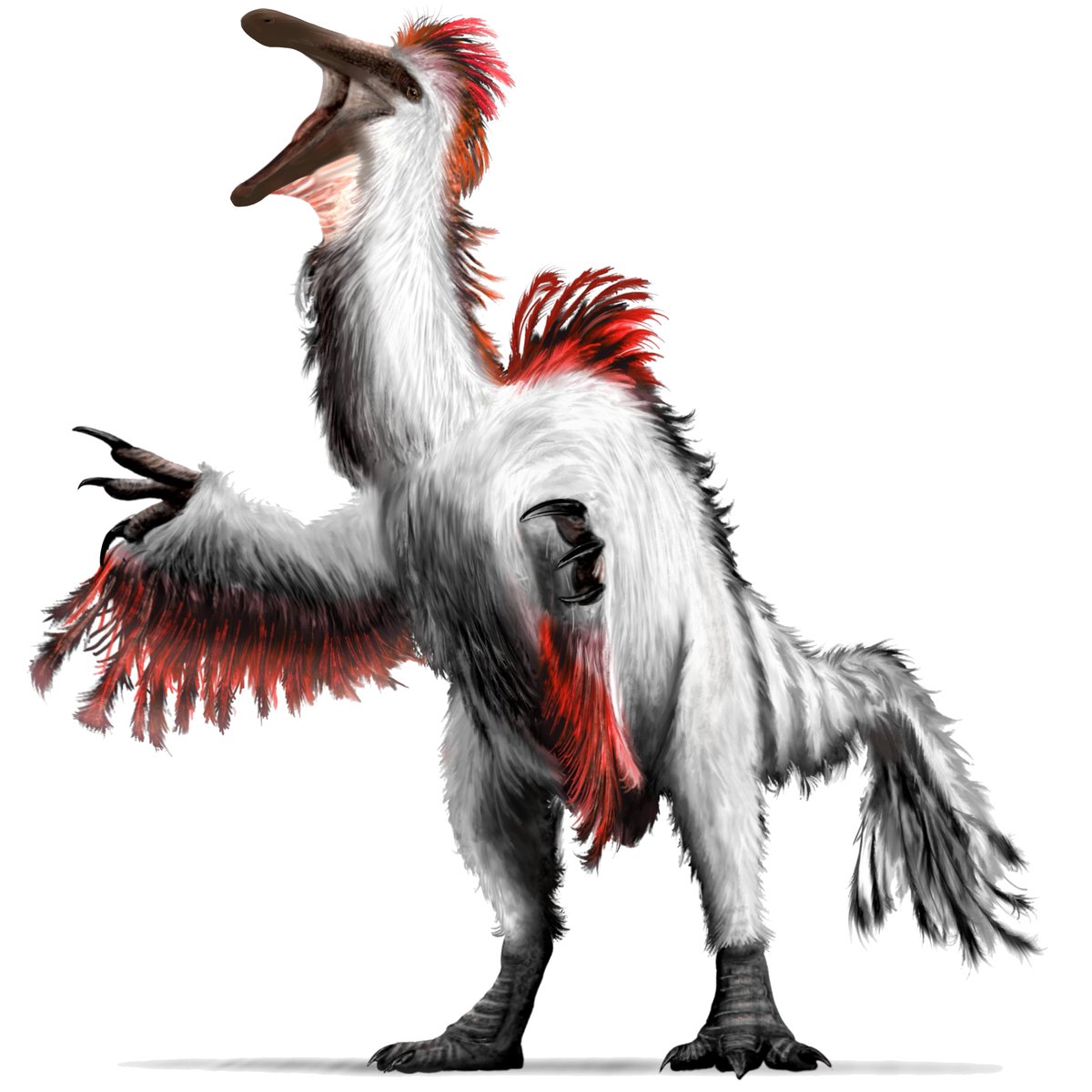 Bull.Falcon (@FalconBull) / Posts / X