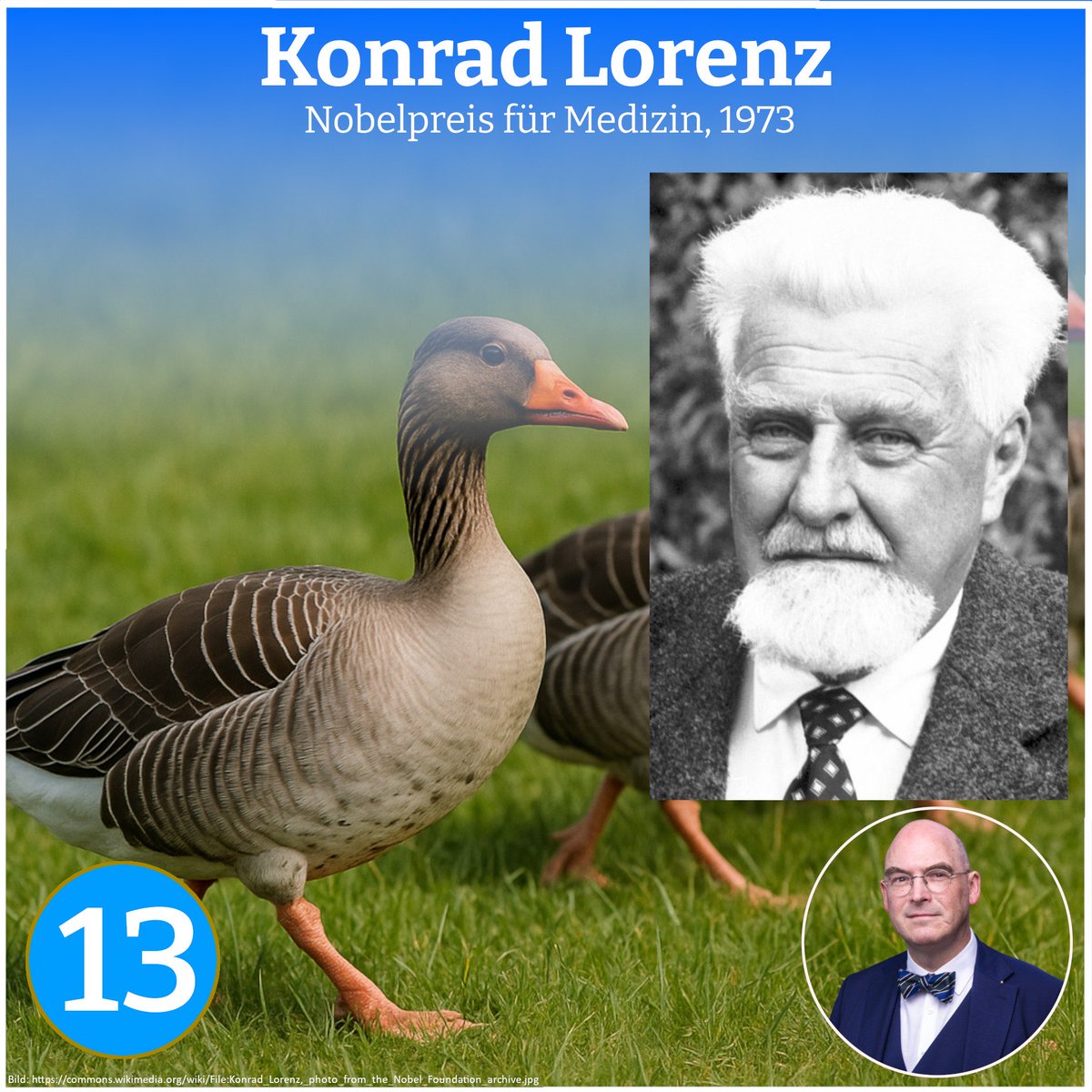 Tag 13 im Adventskalender:

Konrad Lorenz gilt als Begründer der modernen Verhaltensforschung. Mit seinen Studien zur Prägung bei Gänsen und Enten erlangte er weltweite Bekanntheit. 

1973 wurde er gemeinsam mit zwei Kollegen mit dem Nobelpreis ausgezeichnet. 

Lorenz verband