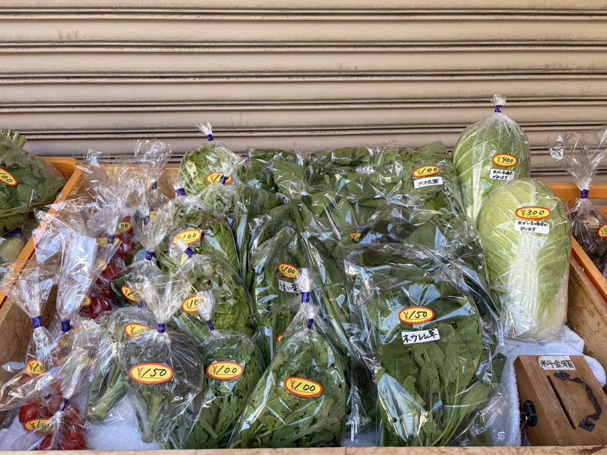 よろしくお願いします🍅🍠