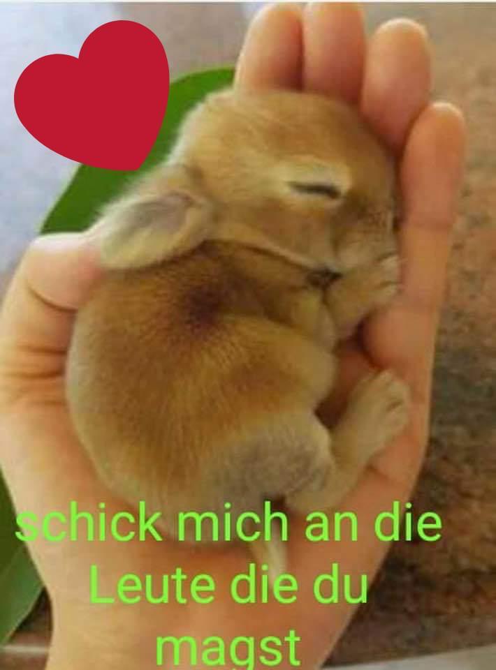 Guten Morgen, habt ein schönes Wochenende und genießt die Zeit mit euren Freunden und Familien. LG 😊🎅🎅🎄🎄🎅🎅😊🍀🍀