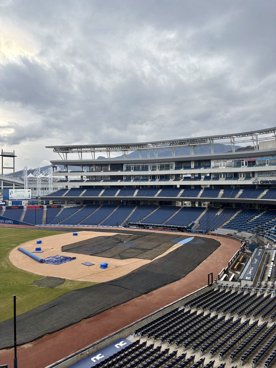 잔디 땜빵 났어..ㅠ.ㅠ