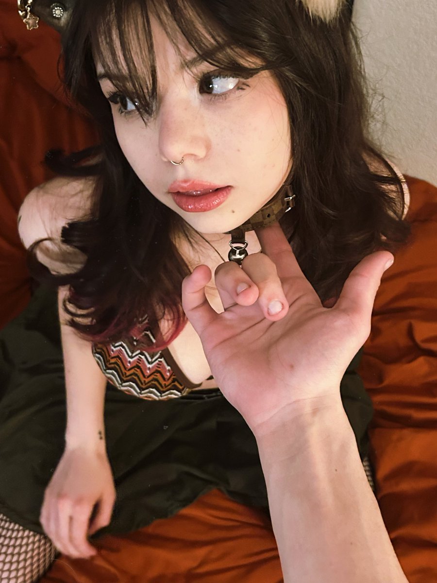 Roxy1051228's tweet photo. Am I a good foxy puppy?πΎπ¦π
#kemonomimi #foxyRoxy #puppygirl #furry #furryNSFW https://t.co/yAlphsCp8c