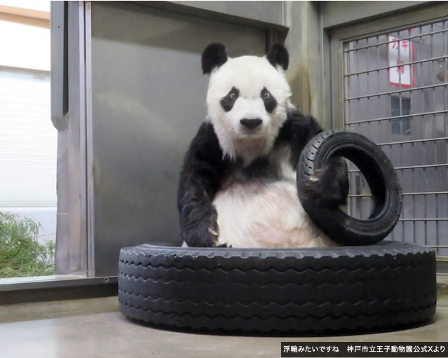 パンダライター 二木繁美｜『水曜日のお嬢様』発売中 (@Pandaexn