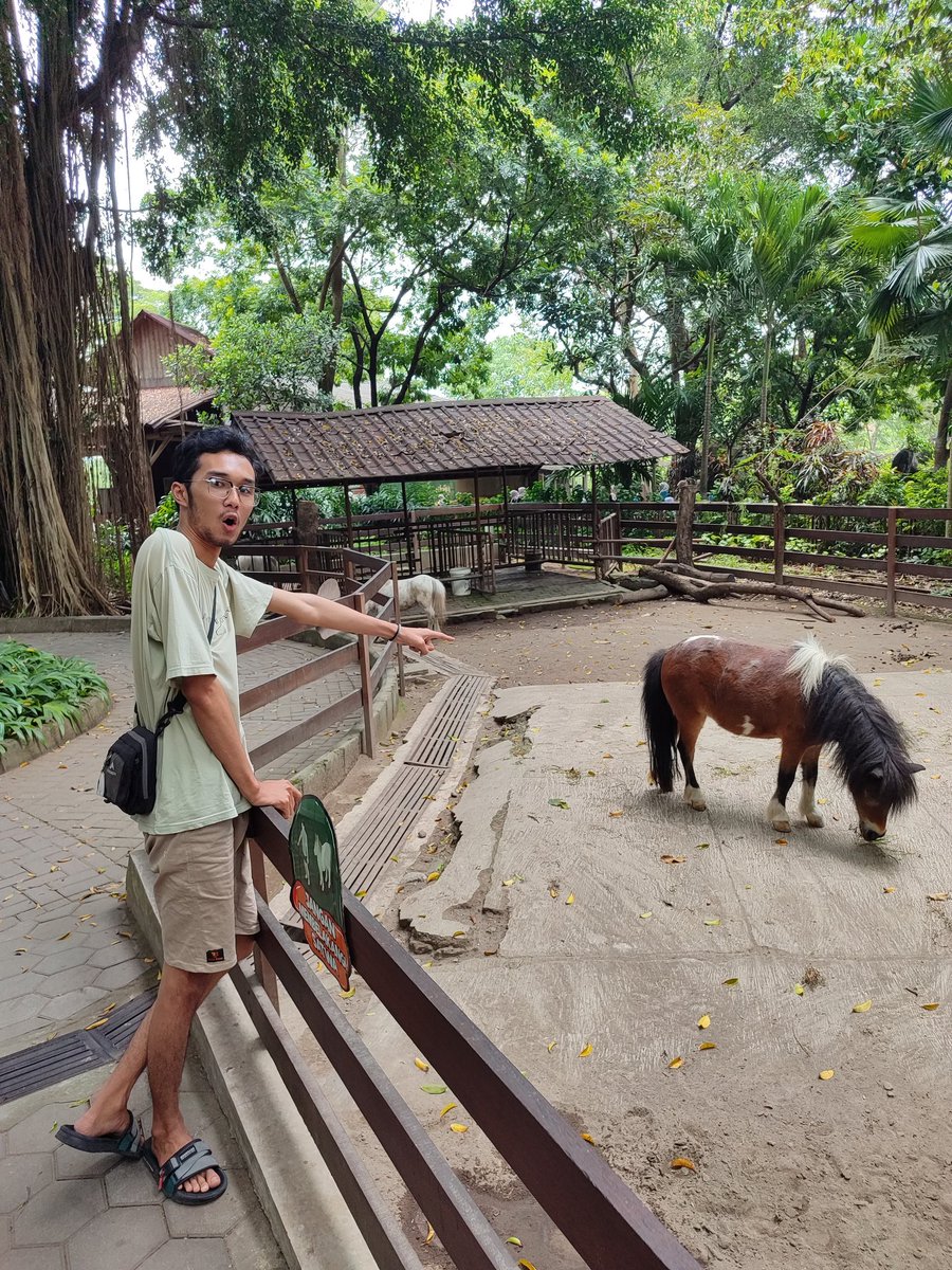 calledbugs's tweet photo. OMG!! PONIES ARE REAL?!! 😱 https://t.co/i4sXCTDchJ