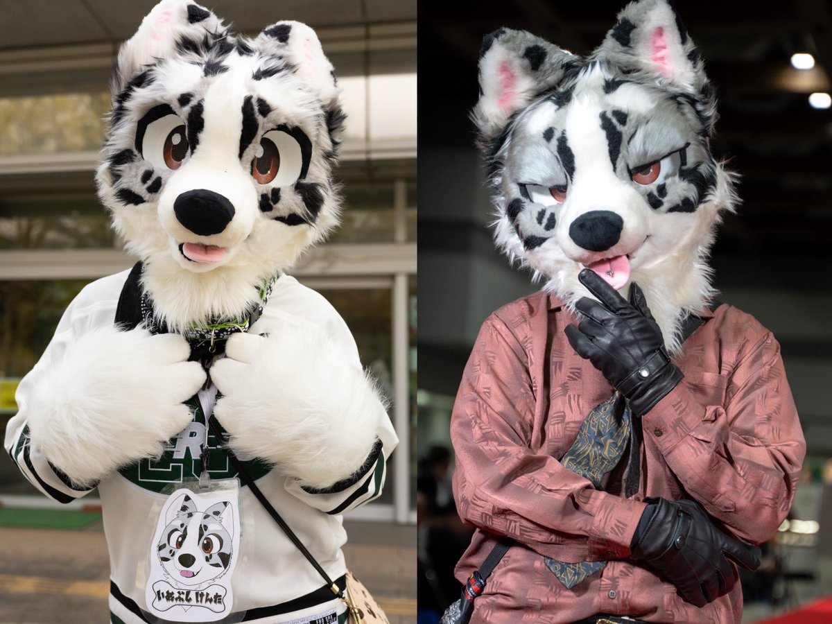 犬伏けんた🐾 (@inuinukenken03) / Posts / X 犬伏けんた🐾 (@inuinukenken03) / Posts / X