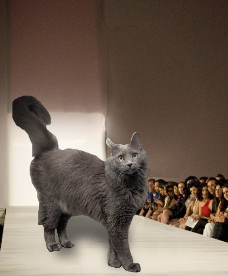 trackingvoid tweet media