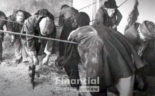 untamarag28's tweet image. 아아 노동조합에게 지배받지 않았던 그 찬란하고 아름다운 시절이여