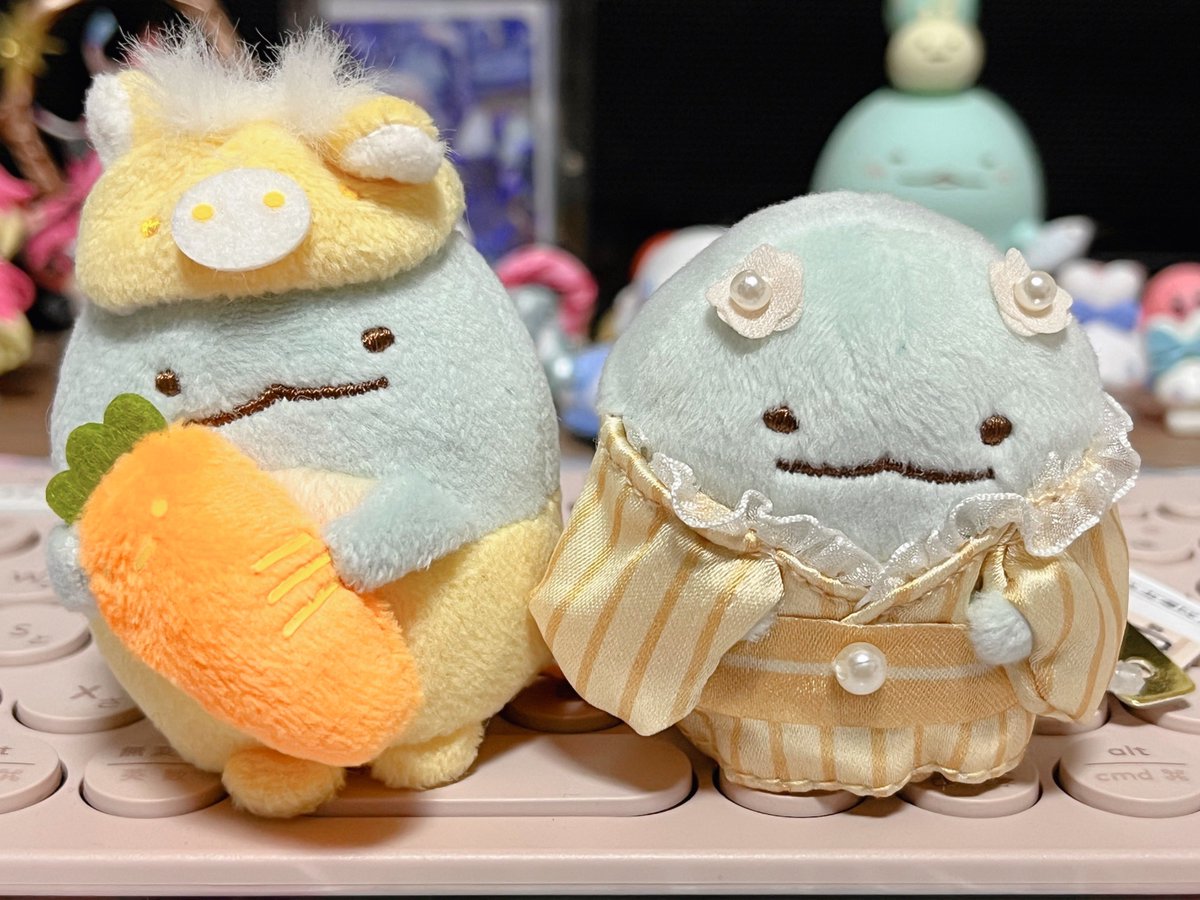 お迎えしたとかげちゃん( ･ ㅅ ･ )🩵