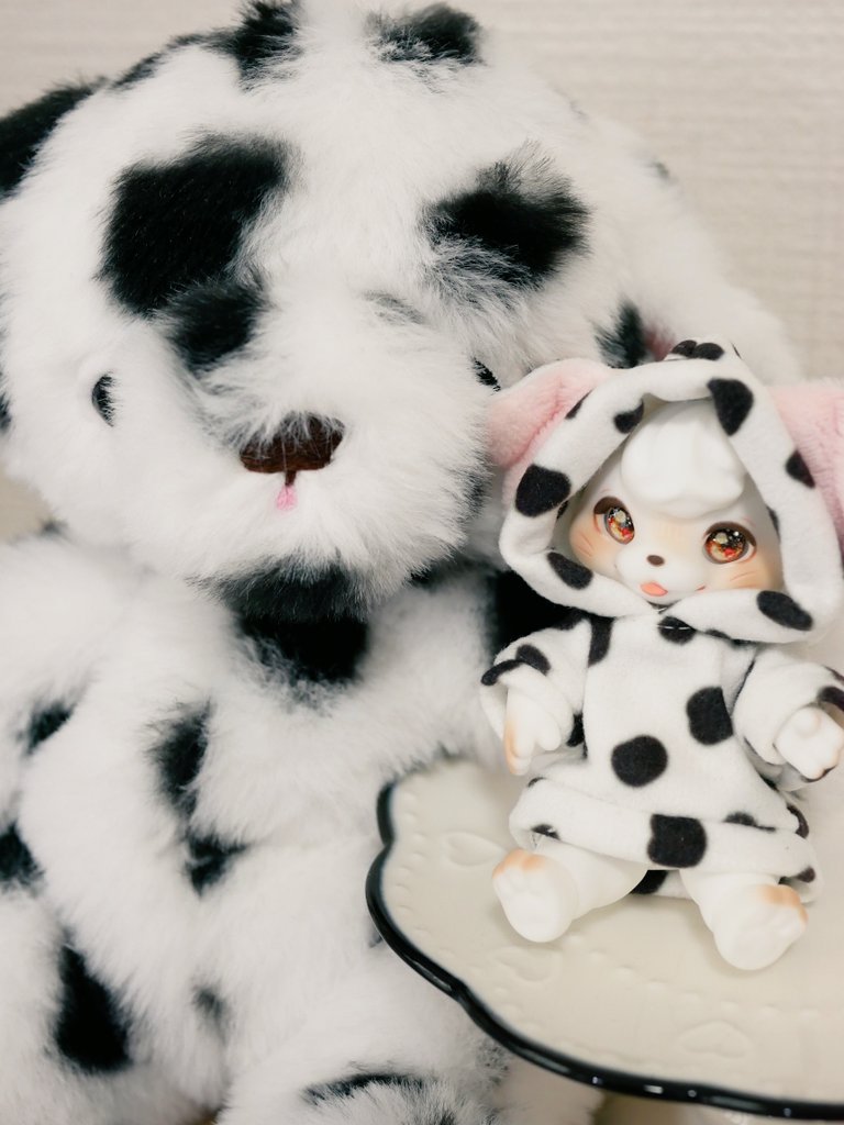 まち Su'Zoo🌗ミニチュアモールベア🧸 (@machisuzu96) / Posts / X