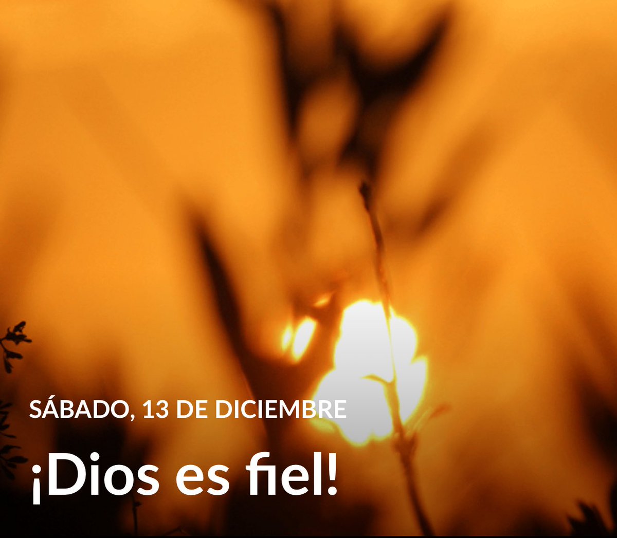 #LESAdv
“No faltó ninguna palabra de las buenas que el Señor había hablado a la casa de Israel. Todo se cumplió” Jos. 21:45

Josué exhortó en cómo adorar exclusivamente a Dios y repasó las demostraciones de fidelidad de Dios en el pasado para motivarlos a rendir culto solo a él.