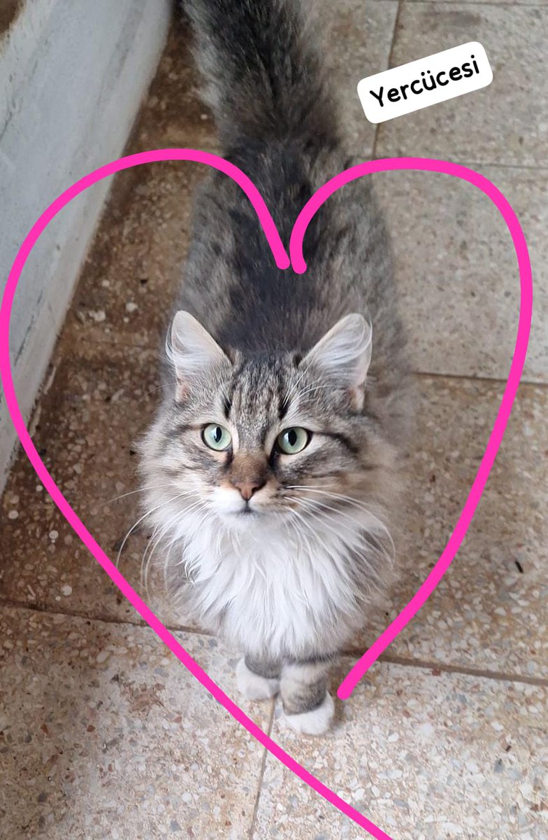 tam bir şebek ama çok az paylaşılmış