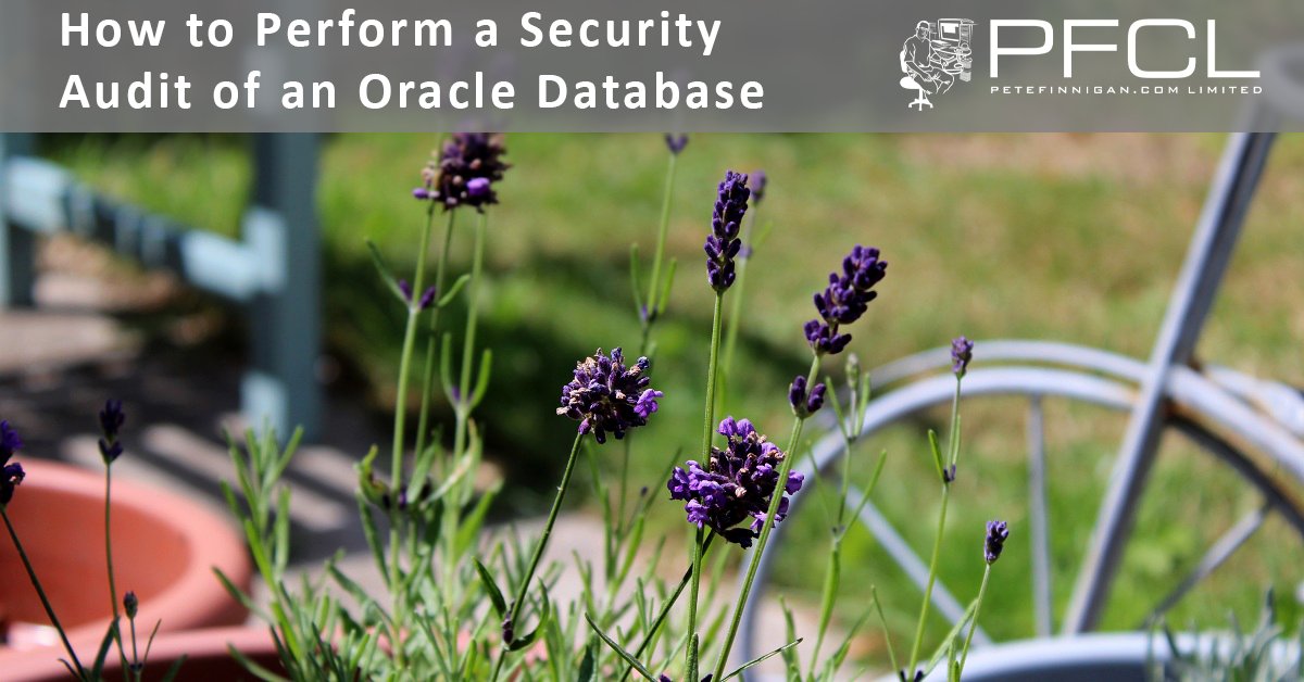 petefinnigan's tweet image. "How to Perform a Security Audit of an Oracle Database" 
We are here to help you secure your data in your Oracle database. Contact us - 
petefinnigan.com/contact.htm

#oracleace #oracle #plsql #securecode #forensics #datasecurity

Please like, follow and share our pages and posts.