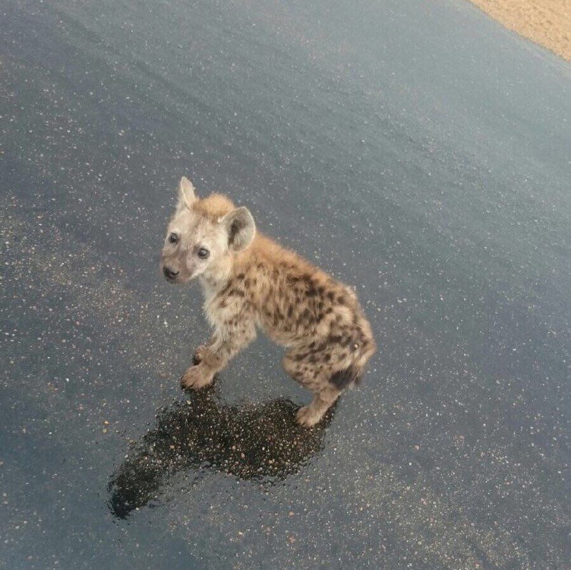 HourlyYeen's tweet photo. [🔗](https://t.co/aoii3GS8xd) https://t.co/JbwBMAgqcs
