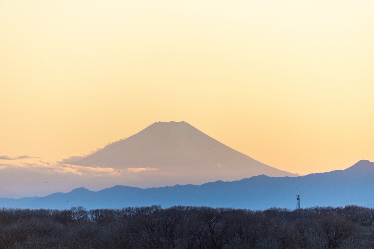 さんちゃん (@win461102) / Posts / X