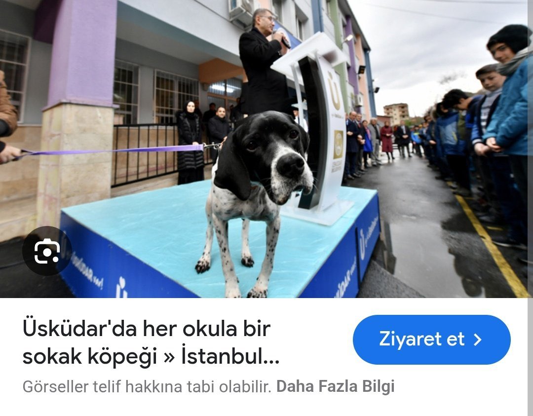 Üsküdar’da her okula bir sokak köpeği mi? 😳

Gerçekten böyle bir proje yapılmış mı? 
😳