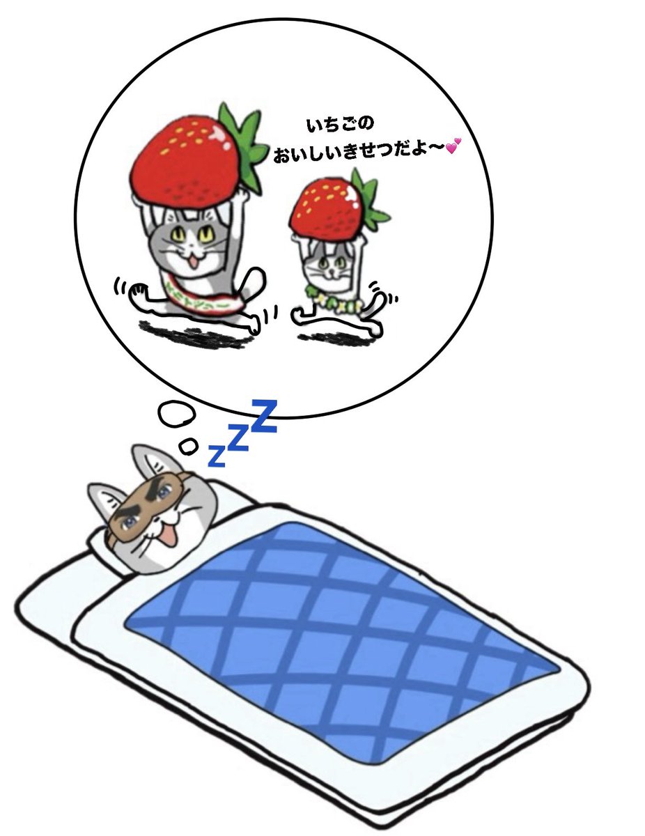 ねこぴん（They/Them） 🌈🇺🇦(°▽°)σ ﾖｼ! (@kappy09091) / Posts / X