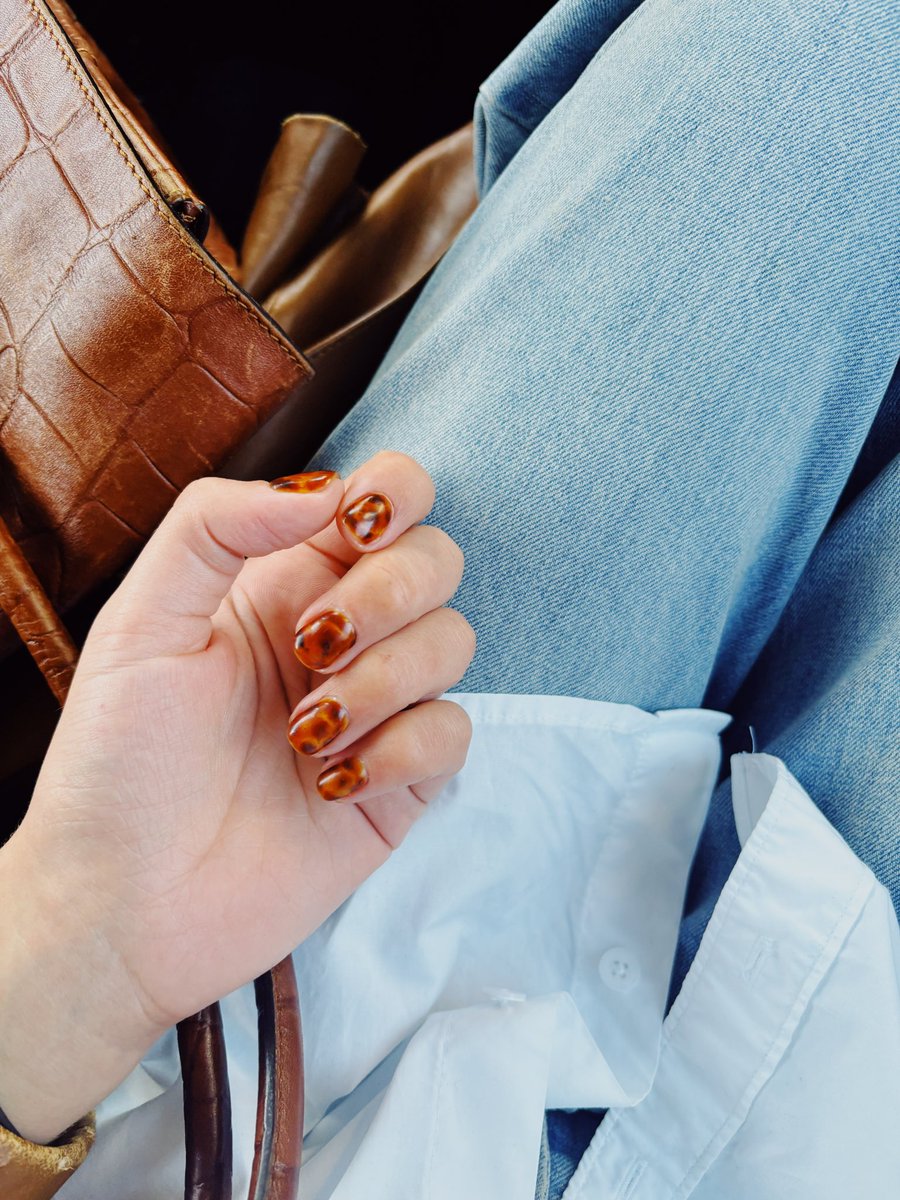 datesaint's tweet image. Tortoiseshell 🐈