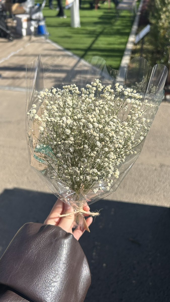 ドライフラワー