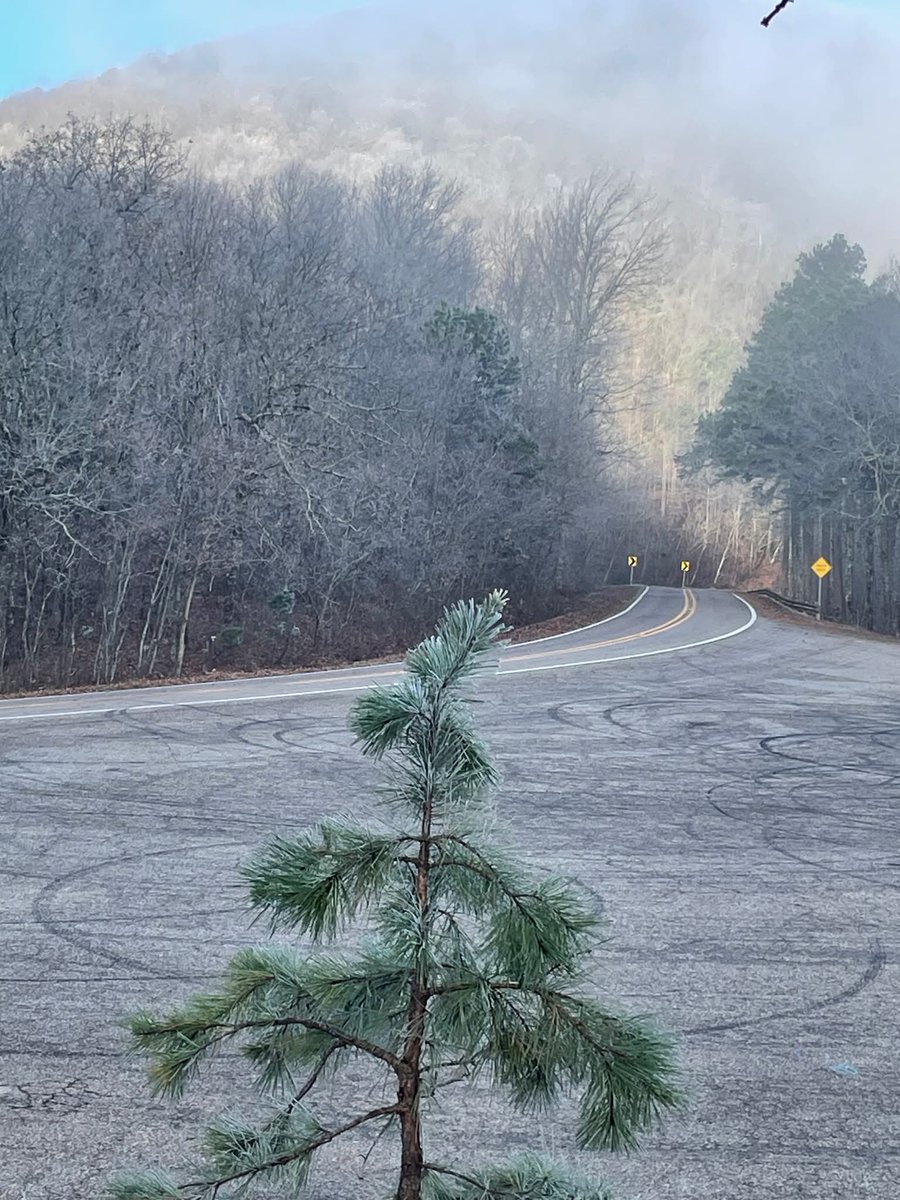 Weedhopper🦗 (@weedhopper96) on Twitter photo 