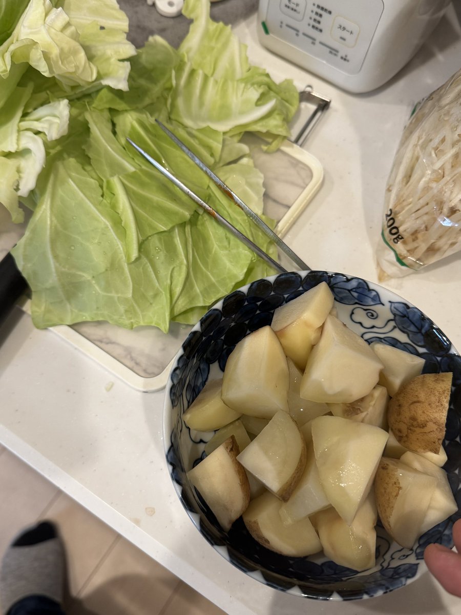 リュウジの鍋レシピを無視して野菜をぶち込みまくった結果…