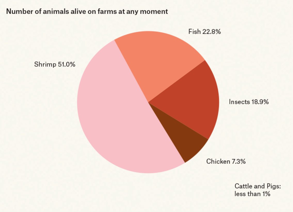 Un dato random 🦐

El 51% de todos los animales que viven en granjas ahora mismo son gambas. 

Hay montones.

Se estima que hay 230.000 millones de gambas en cautividad, más que peces (23%), insectos (19%) o pollos (7%). Los cerdos y las vacas apenas son el 1%.

Lo cuentan en